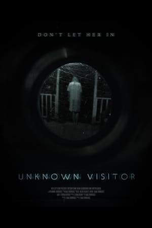 Незнакомый гость онлайн