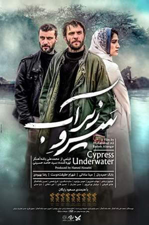 Кипарис под водой онлайн